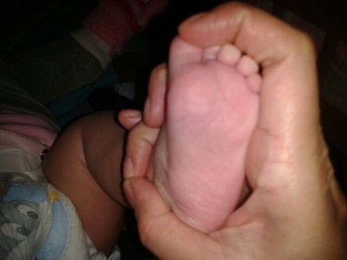 pameutreras2012's profile picture. Soy Pame🌳🌳🌳,soy mamá, soy amiga, soy confiable, me gusta la música en especial la trova, buena compañera y muchas cosas más...