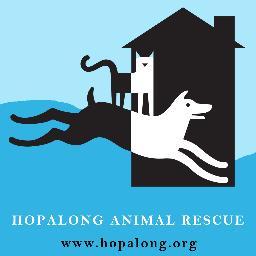 Since 1993, Hopalong/Second Chance Animal Rescue has rescued, fostered, spayed/neutered, and placed over 16,000 companion animals.