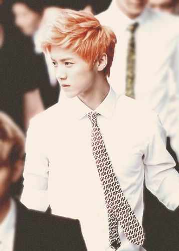 Xiu Luhan - Moduser - @minkyuxng punya gue jangan di ganggu - Jangan Stalk TL gue ntar hamil