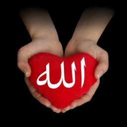 سبحان الله والحمدالله ولا اله الا الله