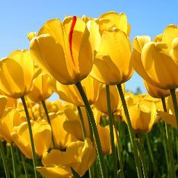 teeG_H's profile picture. 