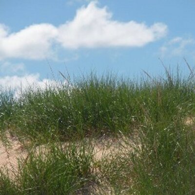 Profile Picture of Tanya Cunningham (@tmcunningham2) on Twitter