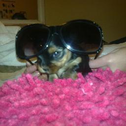 katheri79765988's profile picture. 