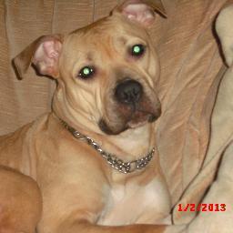 galaxioxp's profile picture. 