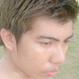 vholanos's profile picture. 