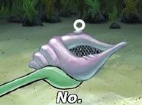 Tweet the almighty conch questions and he will tell u ur fortune