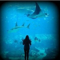 Michelle Ko (葛馨雅) (@seamichelle) 's Twitter Profile