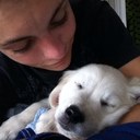 Dan Nelson - @DanNelson02 - Twitter