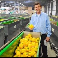 Peter Quiring (@peterquiring) 's Twitter Profile