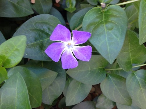 jkfloyd319's profile picture. 