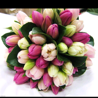 آمال الدهمش (@amaal_dahmash) Twitter profile photo