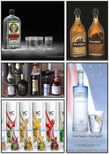 Sales Manager for South Florida for  Jagermeister, American Harvest Vodka, Gekkeikan Sake, Barenjager and VnC Cocktails