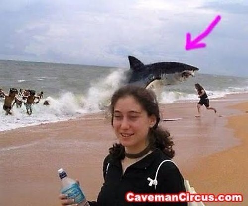Most epic photobombs ever! Send me your best photobombs at my email. Noahdillingham21@outlook.com.