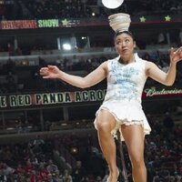 Red Panda Acrobat (@redpandaacrobat) 's Twitter Profile