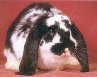 TexasGodlyWoman's profile picture. God centered and focused woman; Enjoying every moment of my life on this side.