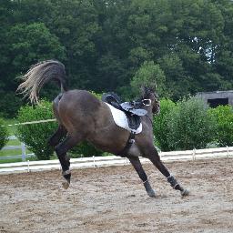 It's nothing personal, I just like my horse better.