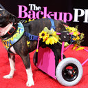 Mariella Janet Conde - @MariellaJanetCo - Twitter