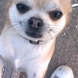 alsacogirl's profile picture. 