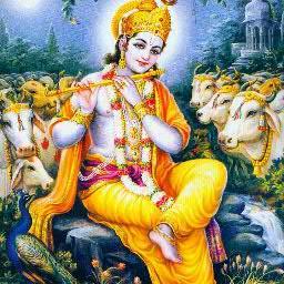 arunyadav1008's profile picture. 