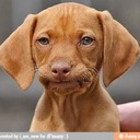 Gregory True - @GregRTrue95 - Twitter