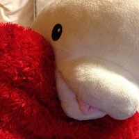 わたる0323 (@wataru0323) Twitter profile photo