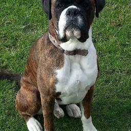 IainSBeattie's profile picture. 