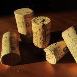 Formacionyenol's profile picture. Cursos de Cata, Sumillería y Enología