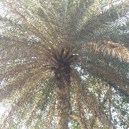 jindaraktim's profile picture. i am a businessman doing in guwahati, i m a good actor, good bike rider and have a good personality