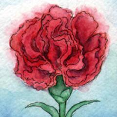 Umena900's profile picture. ロサンゼルス在住日本人