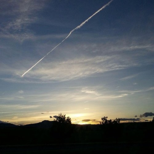 BMAFasttrack's profile picture. I live/run track. period.