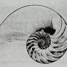 gina_eccersall's profile picture. New mum, hopeful entrepreneur, Christchurch Polo Club, greenie, preppy, atheist, skeptic.