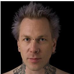 Låsdyrkare, Internet handlare, Hårdrockare, och massa annat ...