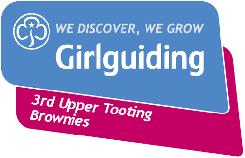 Brownie group in @girlguidinglsw proud to be part of @girlguiding in @Guiding_LaSER and @wandbc
