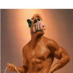 RENEGATALL's profile picture. 