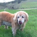 Evan Klaus - @1manBGcontinent - Twitter