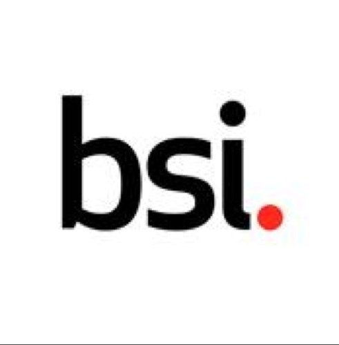 Managing Director BSI Consulting Services EMEA