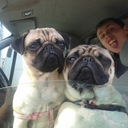 paul hemming - @hemming135 - Twitter