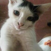 BELLOTA BELLA (@abrillamasbella) 's Twitter Profile