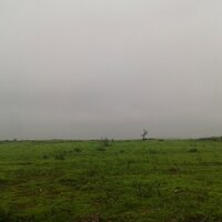 ╰☆الـــ؏ــنــود╮ ☆. (@agorbi9675) 's Twitter Profile
