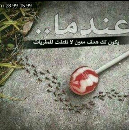 سبحان الله والحمد لله والله أكبرولا إله إلا الله ولاحول ولاقوة إلا الله...