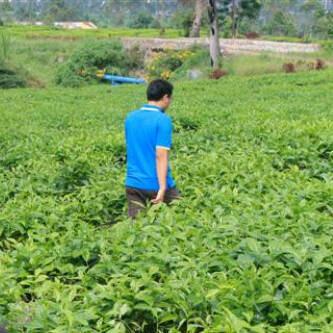 rifkiraofficial's profile picture. Book, Manchester United and Coffee. Sparkling. Masuk aja, ga perlu dilepas sepatunya.