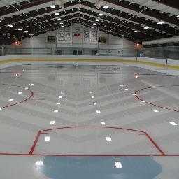 aihlfan's profile picture. AIHL follower, loves ice hockey