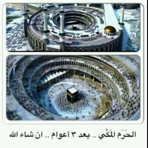 اضع رتويت لكل ماراق لي⭐⭐⭐