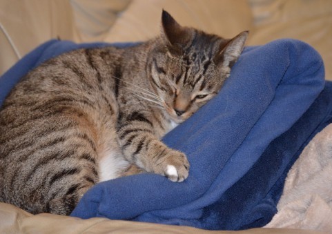 tora_nekosuke's profile picture. 海外ドラマ好き/映画/料理/本/懸賞/ポイ活/J:COM/WOWOW/You Tube/楽天ROOM/Amazonアソシエイト/RT多め・迷惑ならRTミュート推奨/たまにカルボナーラのことを呟く/どこかに行きたい