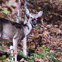 Bobby Lambert - @fblambert - Twitter