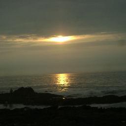 robertotars's profile picture. 