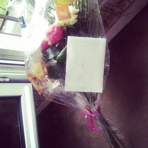 ShanelBambia's profile picture. 