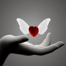 I am a good listener who loves to help people out.
