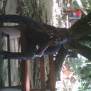 George Whyte - @GeorgeWhyte7 - Twitter