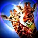 Kris Garrett - @KrisGarrett12 - Twitter